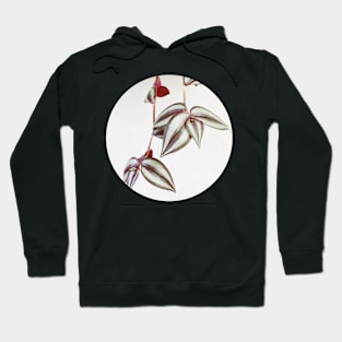 Trailing Leaves Hoodie